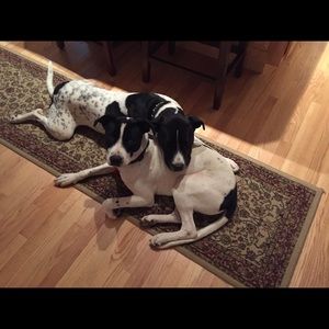 Meet your Posher, Mary